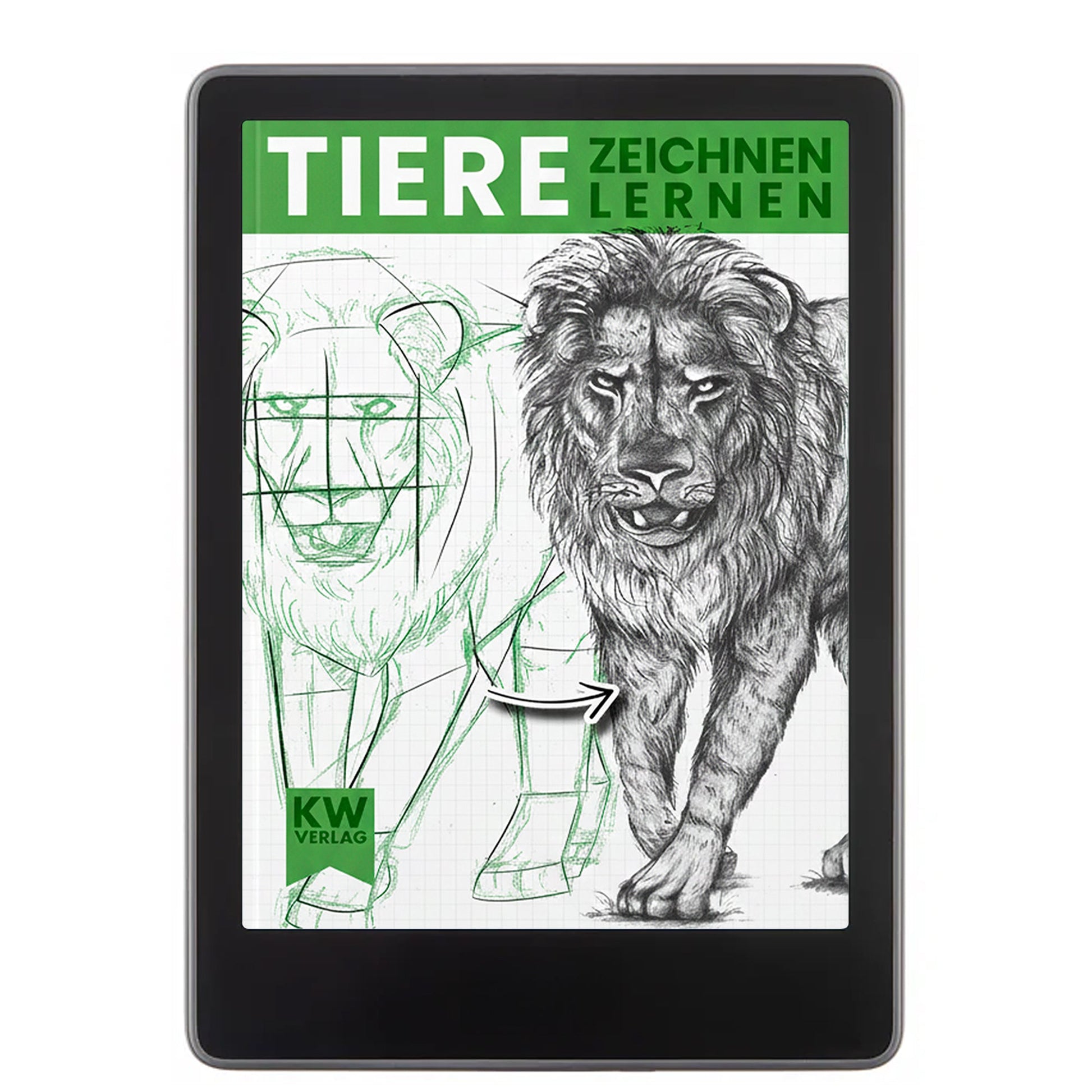 Tiere zeichnen lernen - SimplePaper